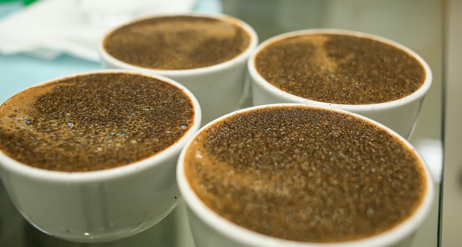 Coffee cupping za začetnike